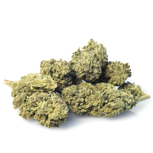 melon-kush-marijuana-legale-italia
