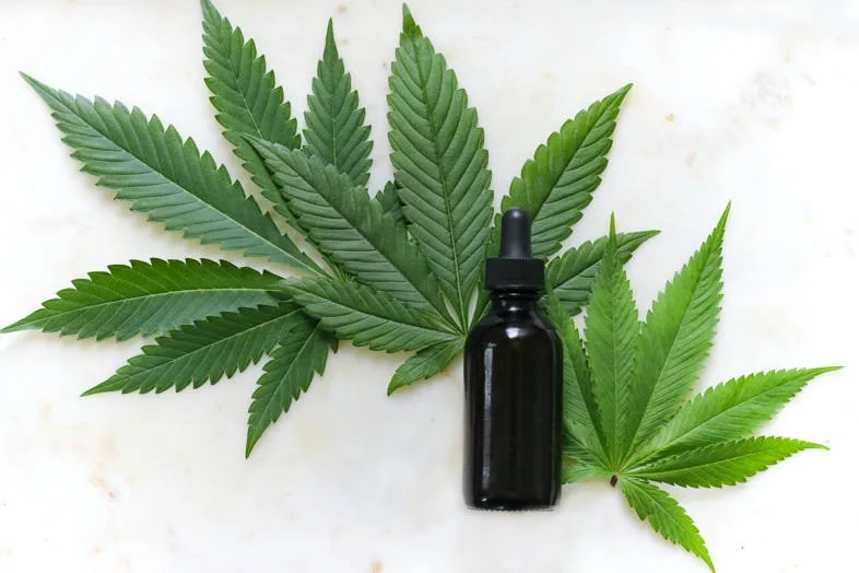 Marihuana y aceite