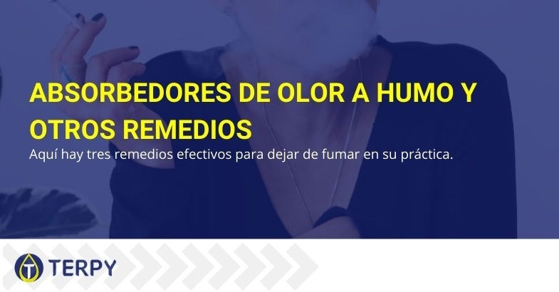 Aquí hay tres absorbentes de olores efectivos para eliminar el humo en su oficina.