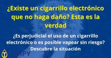 ¿Existe un cigarrillo electrónico que no haga daño?