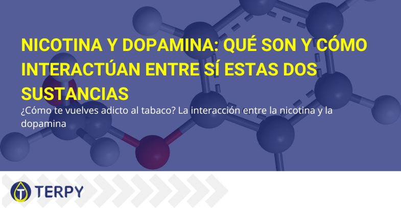 ¿Cómo interactúan la dopamina y la nicotina?