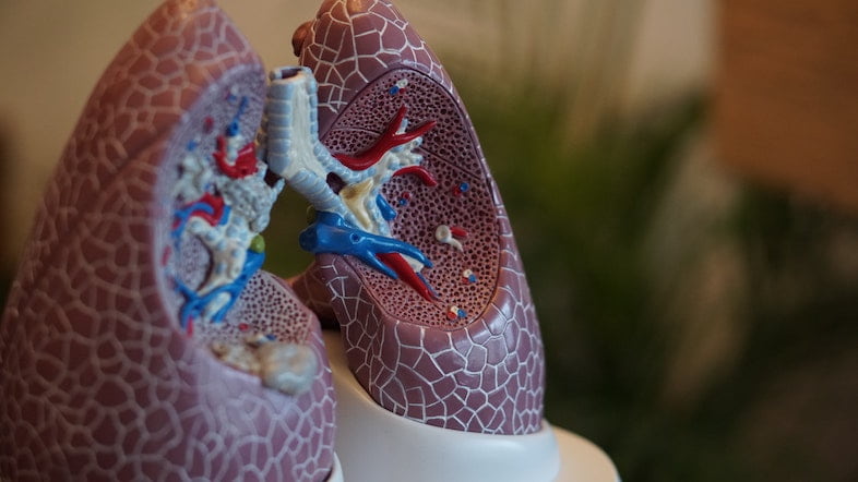 Lo que el cigarrillo electrónico hace a tus pulmones