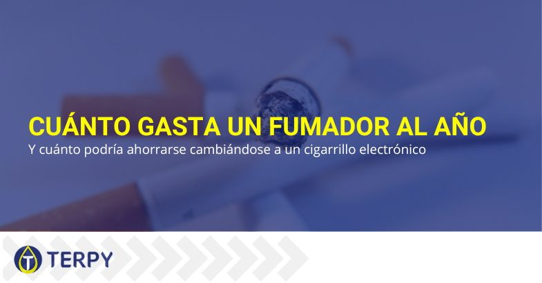 ¿Cuánto gasta un fumador en un año | Terpy