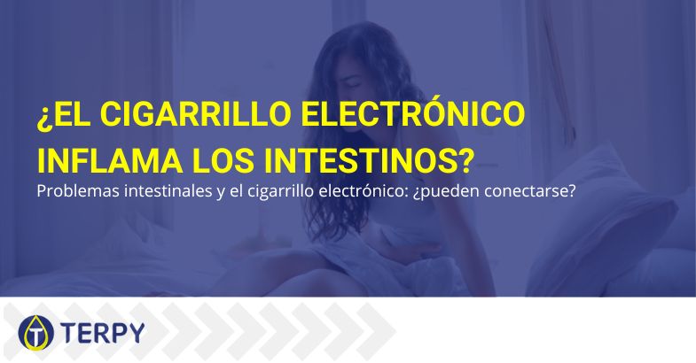 ¿Puede el cigarrillo electrónico inflamar el intestino? | Terpy