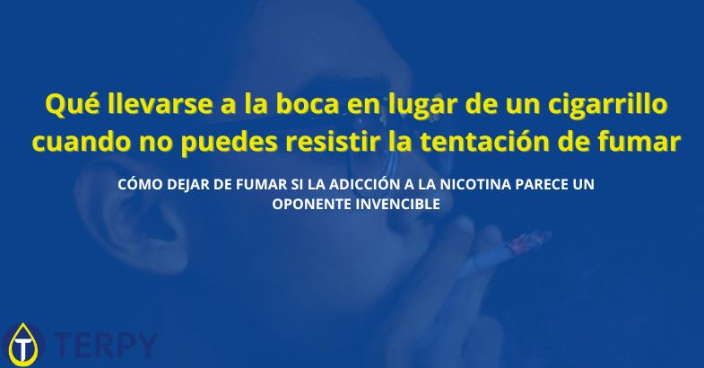 Qué llevarse a la boca en lugar de un cigarrillo cuando no puedes resistir la tentación de fumar