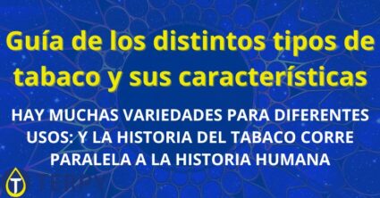 Guía de los distintos tipos de tabaco y sus características