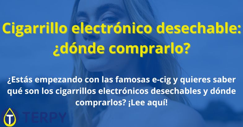 Cigarrillo electrónico desechable: ¿dónde comprarlo?